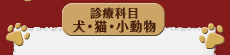 診療科目　犬・猫・小動物